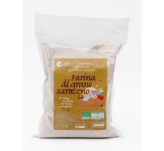 Product image Farinagranosaracenomasoparadiso1-212408 - Wed Mar 15 2023 14:33:49 GMT+0100 (Central European Standard Time)